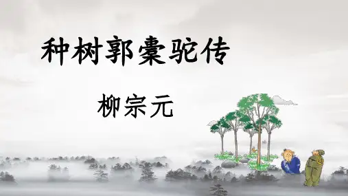 11.《种树郭橐驼传》课件高中语文选择性必修下册(2)