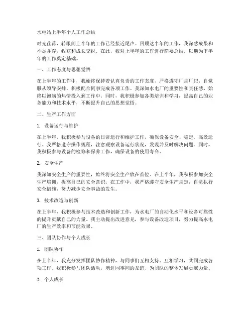 水电站上半年个人工作总结