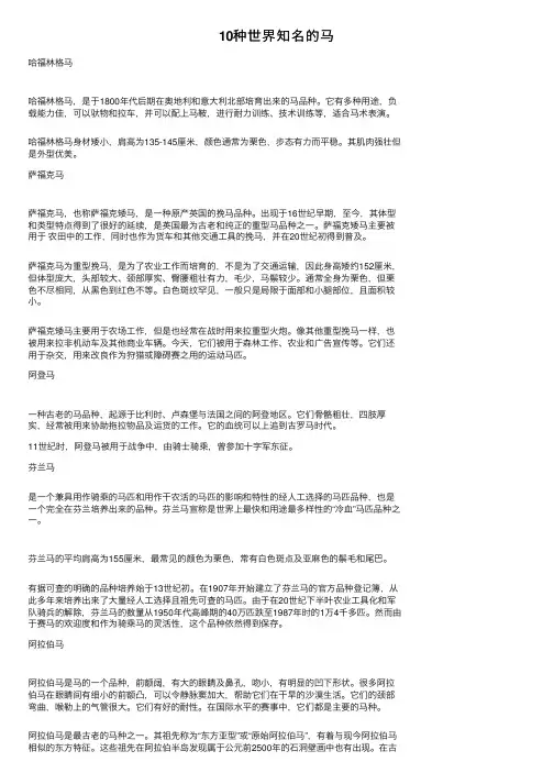 10种世界知名的马