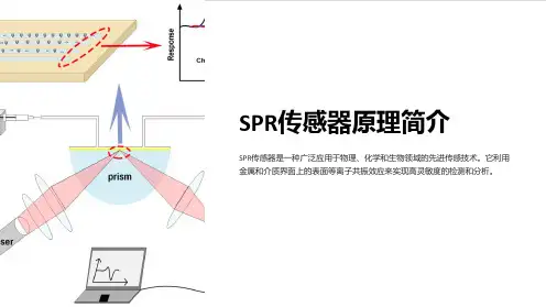 SPR传感器原理简介