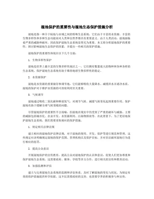 湿地保护的重要性与湿地生态保护措施分析