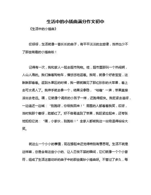 生活中的小插曲满分作文初中