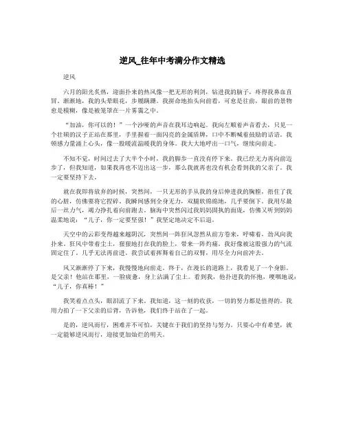 逆风_往年中考满分作文精选