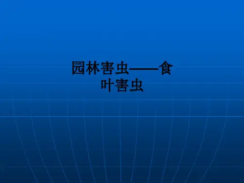 园林害虫——食叶害虫ppt课件