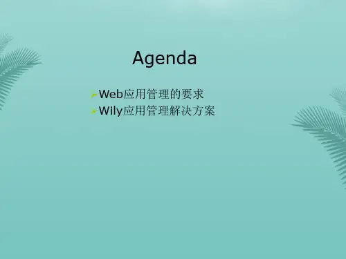 应用管理解决方案运维监控优秀PPT文档