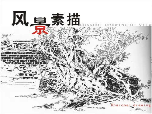 素描风景