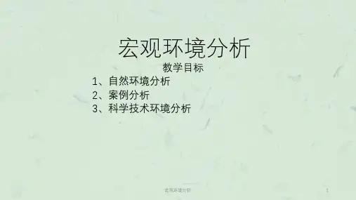 宏观环境分析课件