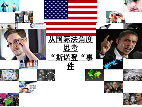 从国际法角度探讨斯登案件