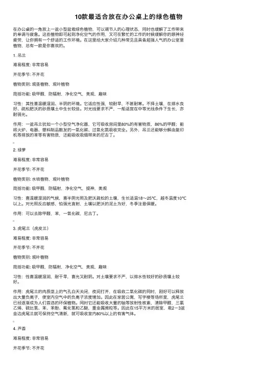 10款最适合放在办公桌上的绿色植物
