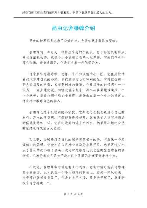 昆虫记舍腰蜂介绍