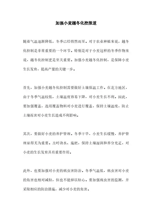加强小麦越冬化控报道