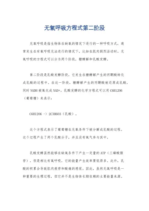 无氧呼吸方程式第二阶段
