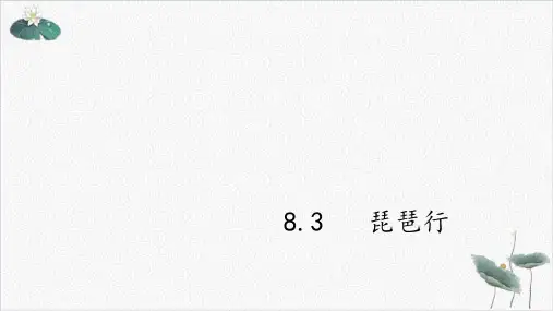 统编版必修上册—《琵琶行》ppt课件