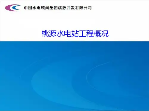 水电站工程建设概况资料整理