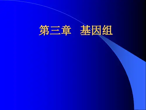 基因组  Microsoft PowerPoint 演示文稿