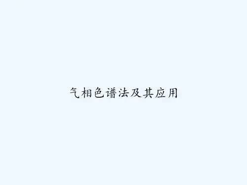气相色谱法及其应用-PPT