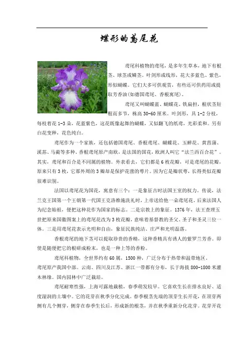 鸢尾花的知识