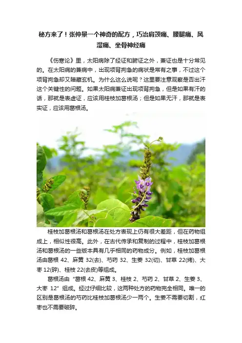 秘方来了！张仲景一个神奇的配方，巧治肩颈痛、腰腿痛、风湿痛、坐骨神经痛