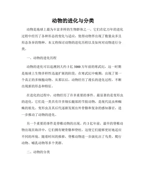 动物的进化与分类
