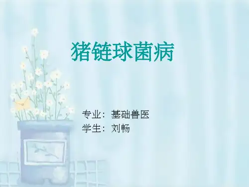 《猪链球菌病》PPT课件