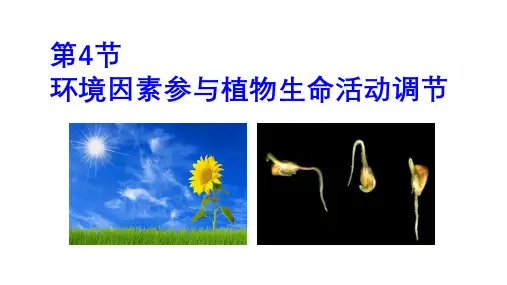 高中生物人教版选择性必修1《5.4环境因素参与调节植物的生命活动》课件(27张PPT)