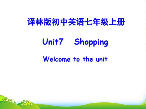 牛津译林英语 七年级上册Unit7Welcome to the unit(共28张PPT)