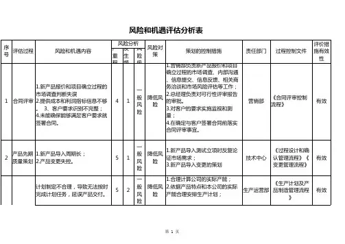 风险和机遇评估分析表
