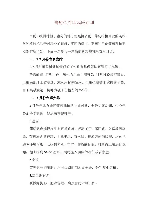 葡萄全周年栽培计划