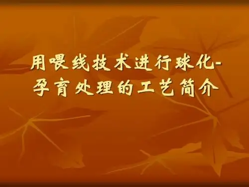 用喂线技术进行球化-