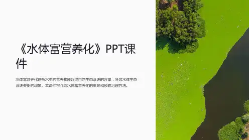《水体富营养化》课件