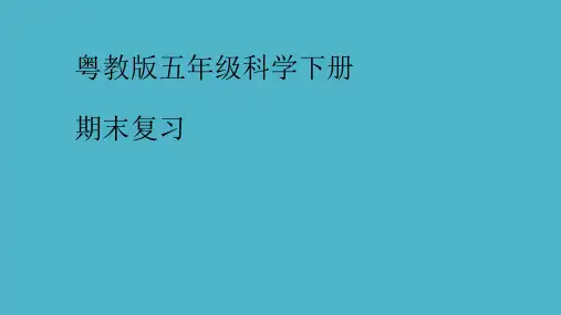粤教版五年级科学下册.ppt