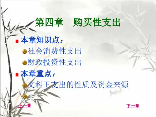 购买性支出 PPT课件
