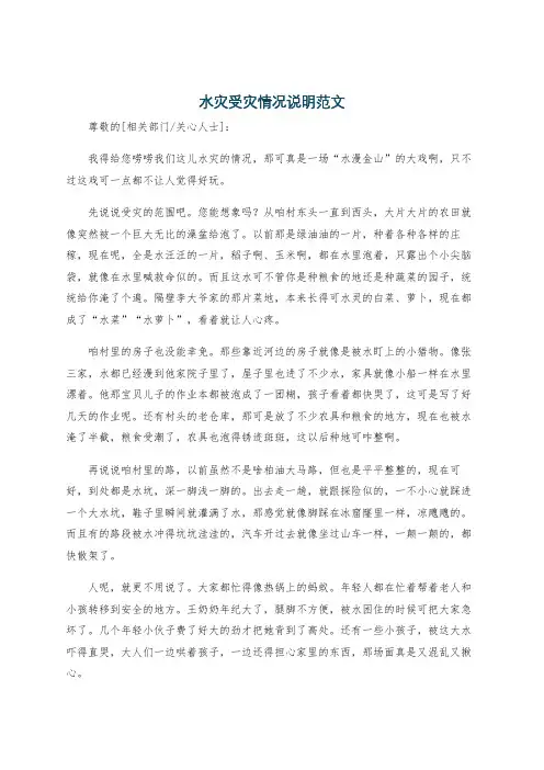 水灾受灾情况说明范文