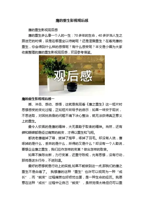 鹰的重生影视观后感