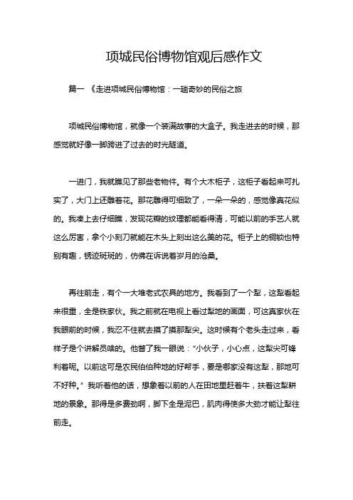 项城民俗博物馆观后感作文