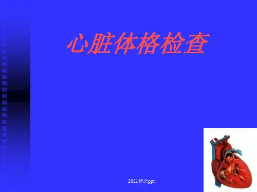 心脏体格检查ppt课件 (2)