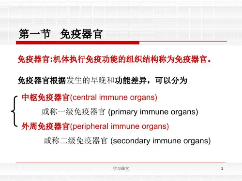 免疫第三章免疫器官课堂上课