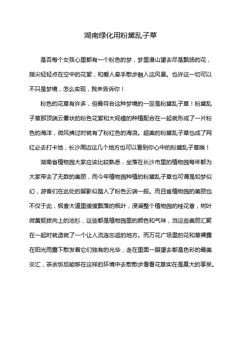 湖南绿化用粉黛乱子草
