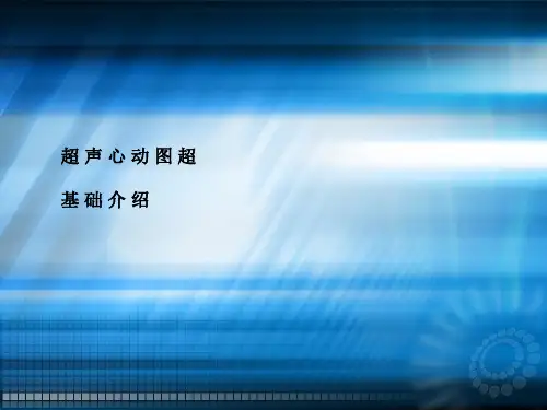 WSP-心脏超声诊断入门ppt课件