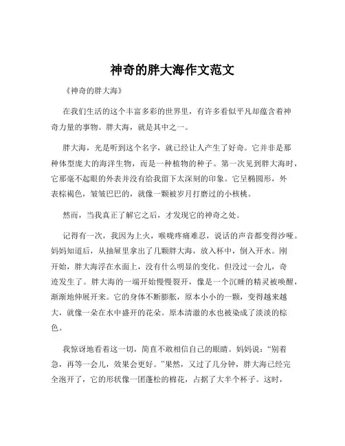 神奇的胖大海作文范文