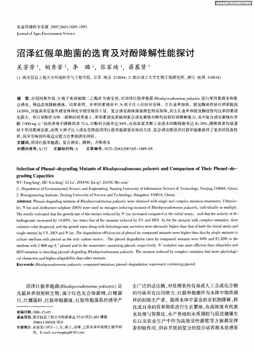 沼泽红假单胞菌的选育及对酚降解性能探讨