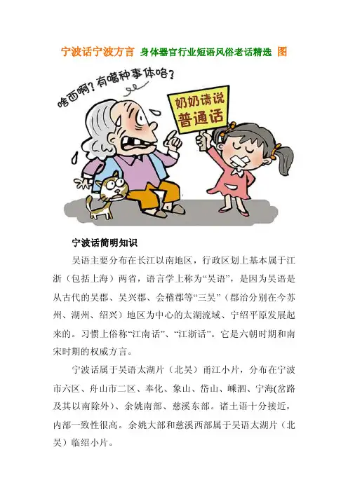 宁波话宁波方言身体器官行业短语风俗老话精选图