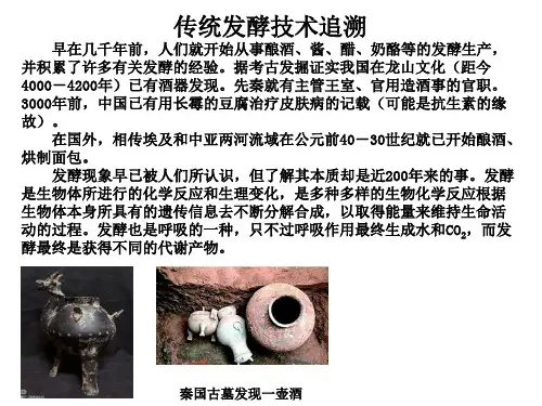传统发酵技术的应用-高二生物课件(人教版2019选择性必修3)