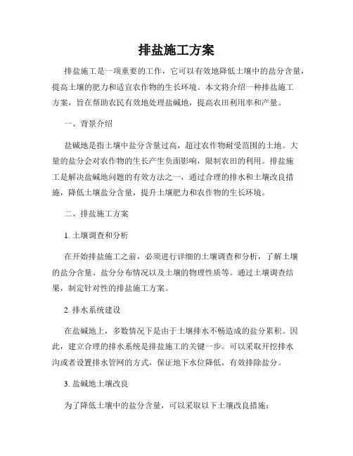 排盐施工方案