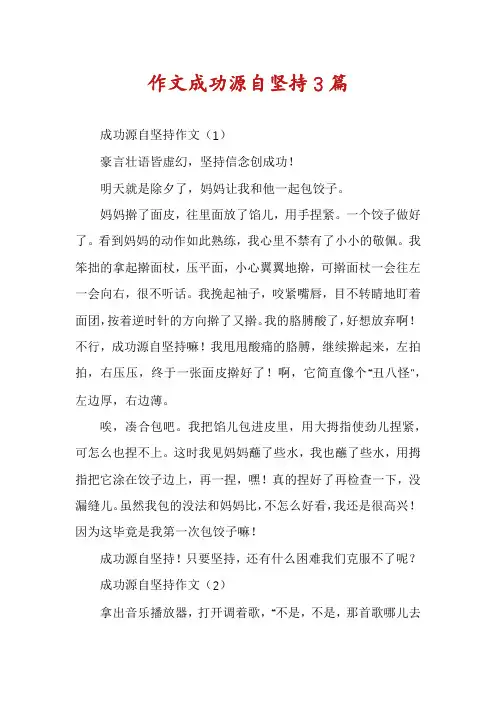 作文成功源自坚持3篇