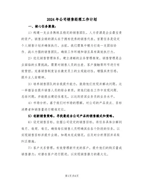 2024年公司销售经理工作计划（四篇）