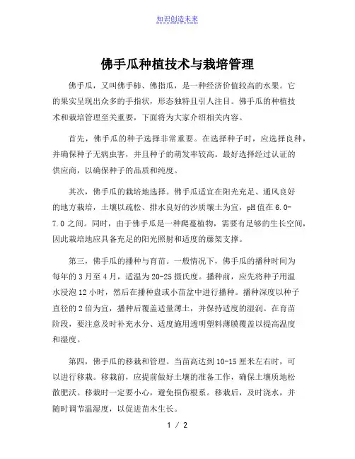佛手瓜种植技术与栽培管理