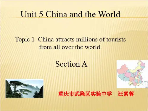 仁爱版九年级英语下Unit 5 Topic1 Section A 教学课件(共21张PPT)