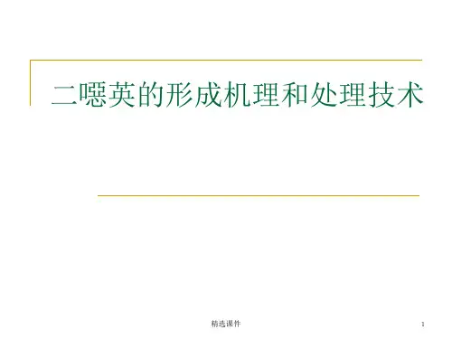 二恶英的形成机理和处理技术