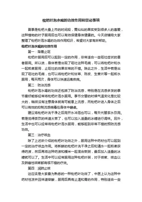 枇杷叶泡水喝的功效作用和禁忌事项